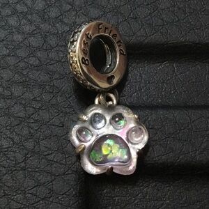 S925 Pet Paw Best Friend Charm Pandora Style